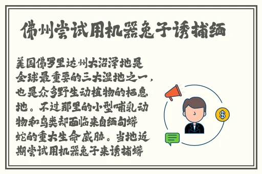 老师说今天随我怎么玩都可以